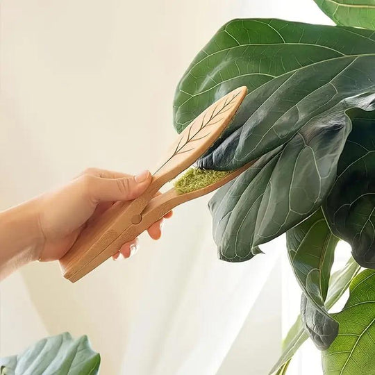 Nettoyeur de feuilles en bois de haute qualité