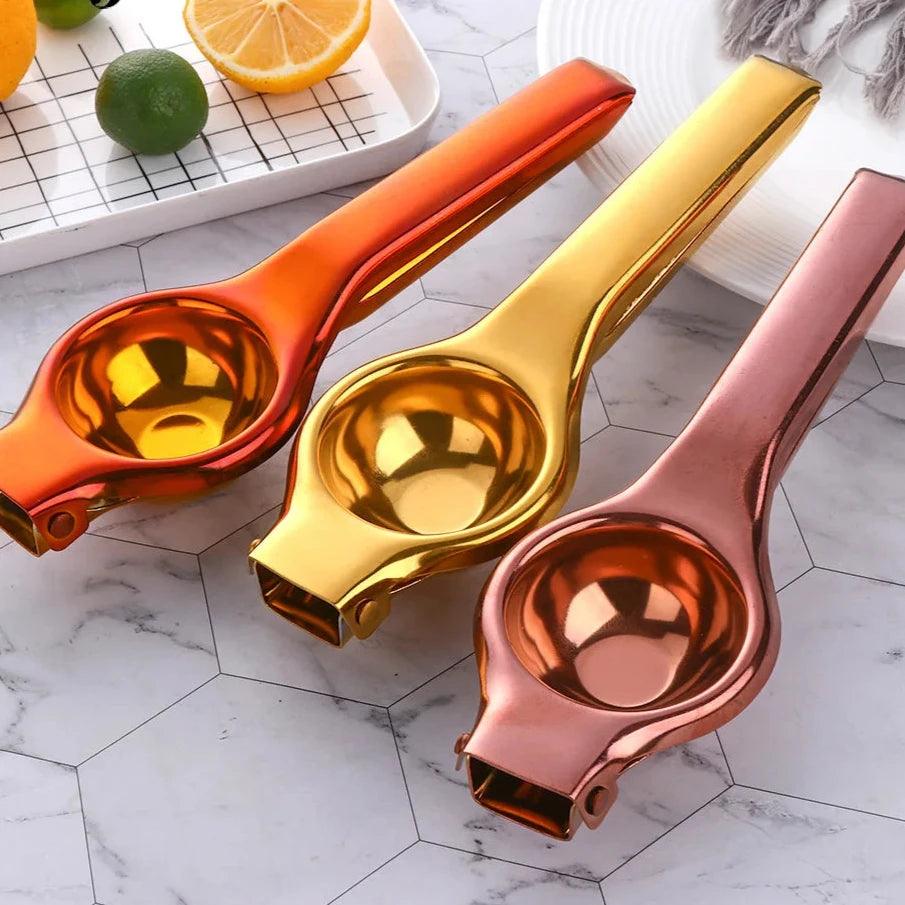 Presse-agrumes manuel en acier inoxydable