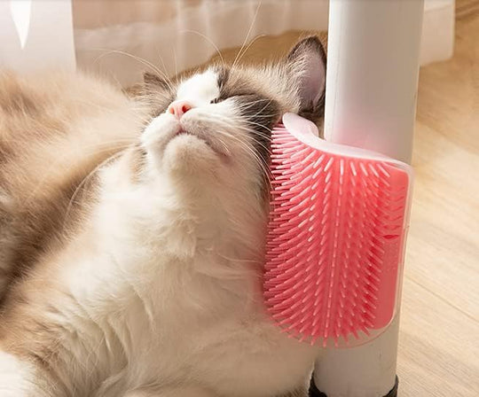 PurrCorner Spazzolatura Automatica per Gatto