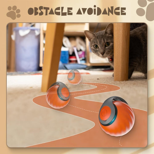 Interactive Cat Play Ball