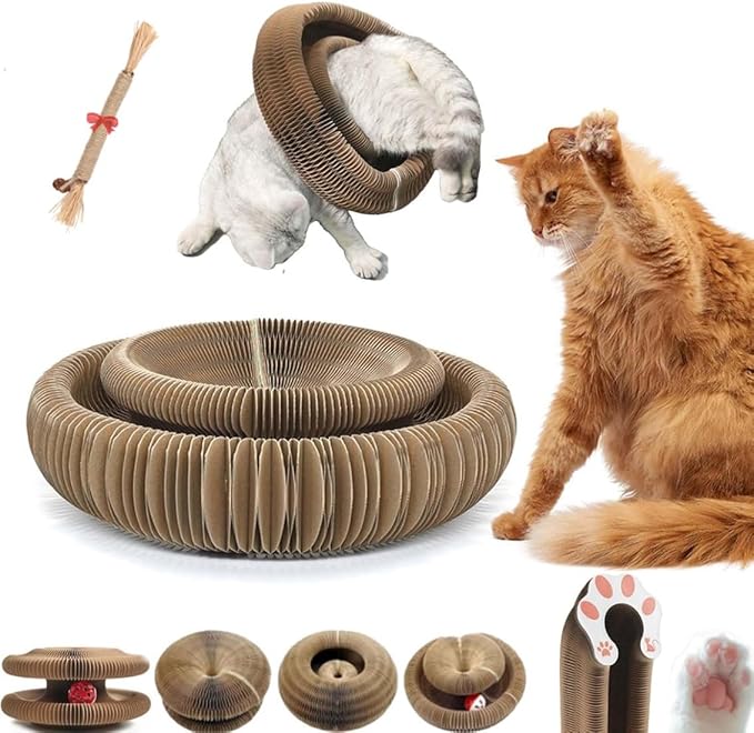 WhirlPaw Nid pour chat