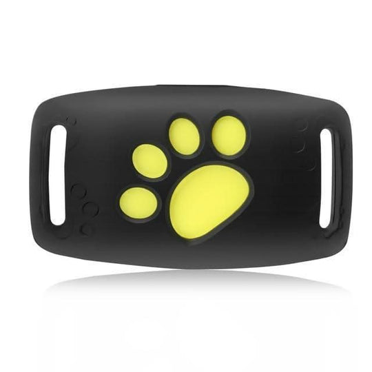 Collier GPS pour chat | Appareil de surveillance de localisation en temps réel
