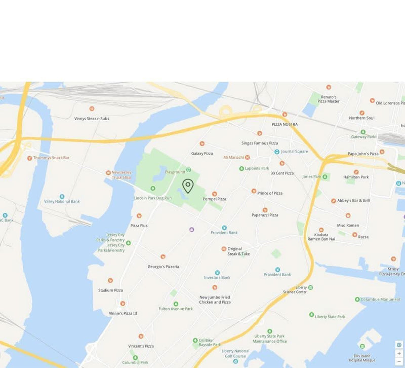 Collier GPS pour chat | Appareil de surveillance de localisation en temps réel