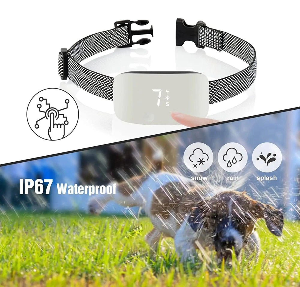 Collier anti-aboiement automatique pour chien – Collier d'entraînement rechargeable et étanche