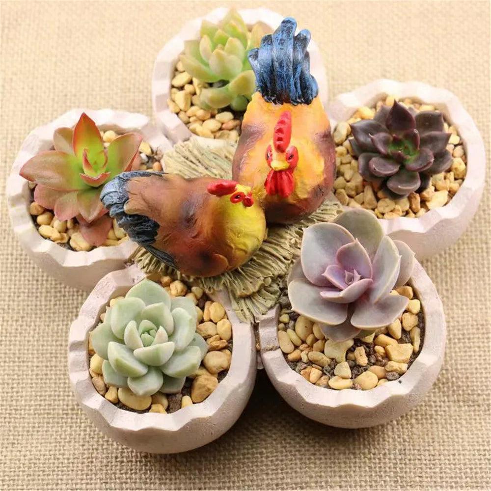 Succulent Plantenbakken voor Tuin