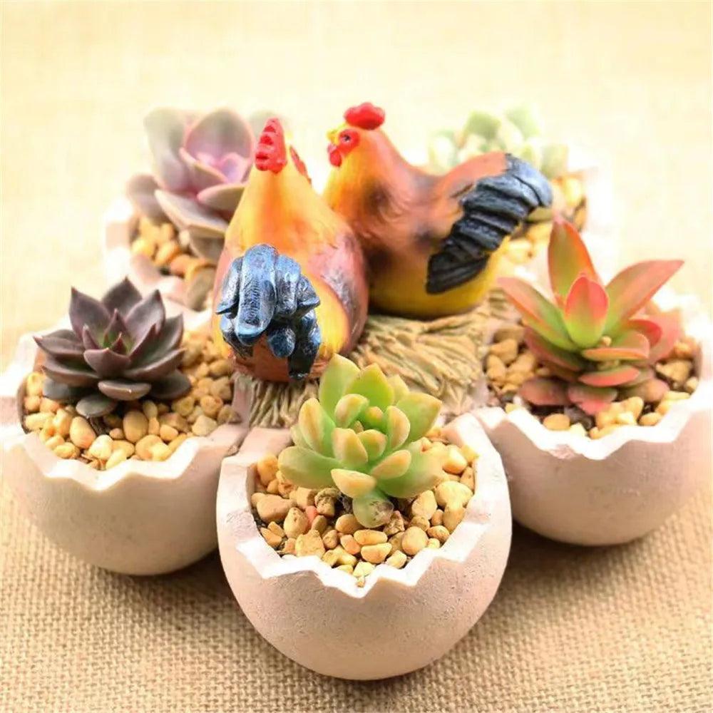 Succulent Plantenbakken voor Tuin