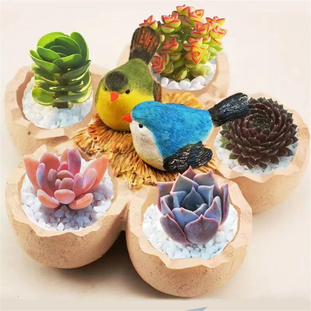 Bacs à plantes succulentes pour jardin