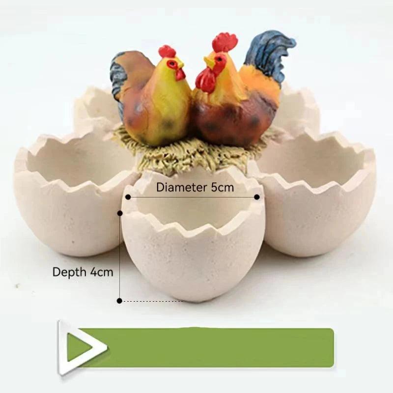 Succulent Plantenbakken voor Tuin