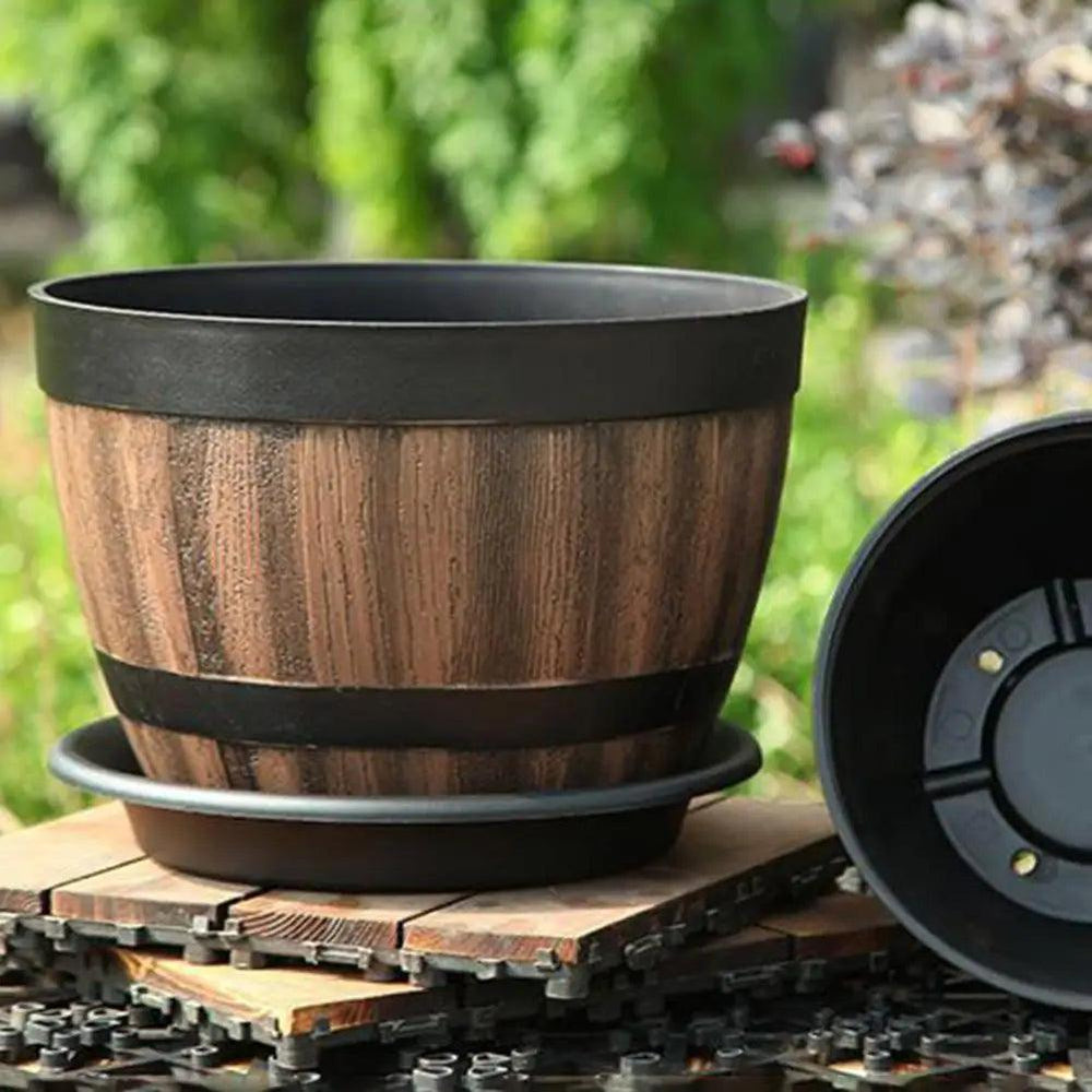 Planteur de succulentes