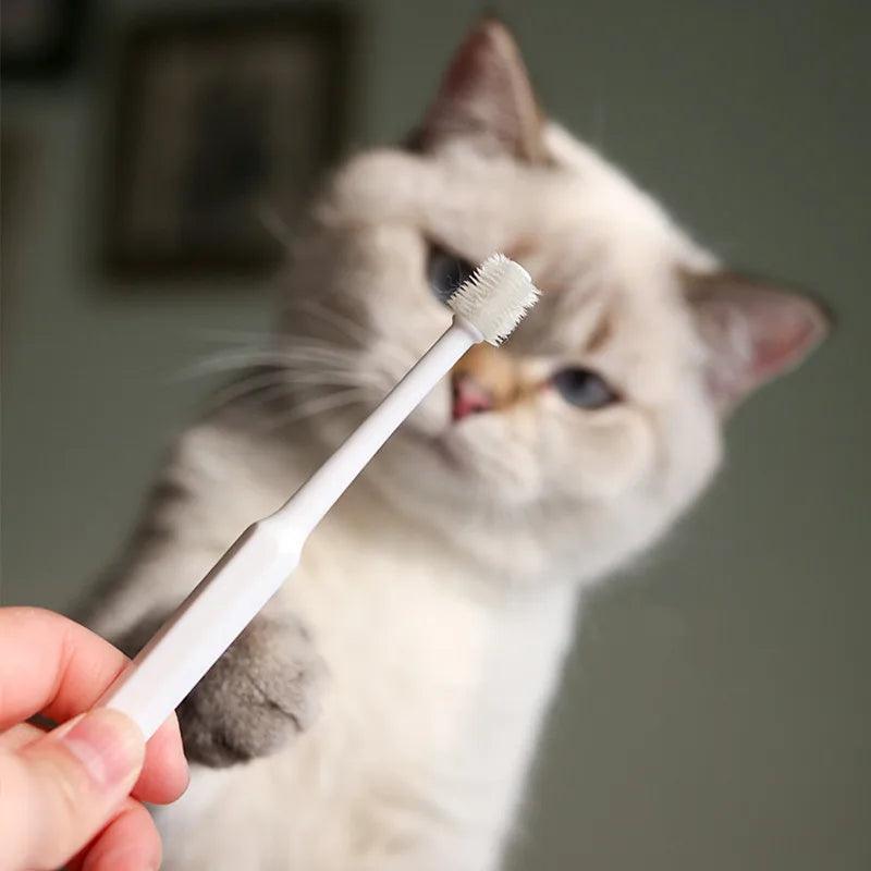 Brosse à dents pour chat – Soin doux pour des dents propres