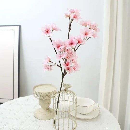 Rami di fiori di ciliegio