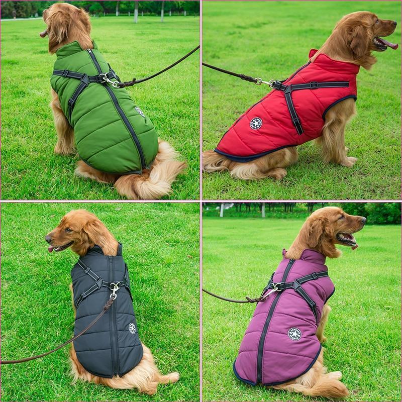 Waterproof dog winter jacket with harness