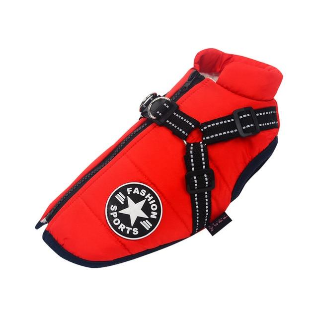 Waterproof dog winter jacket with harness
