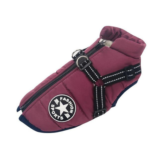 Waterproof dog winter jacket with harness