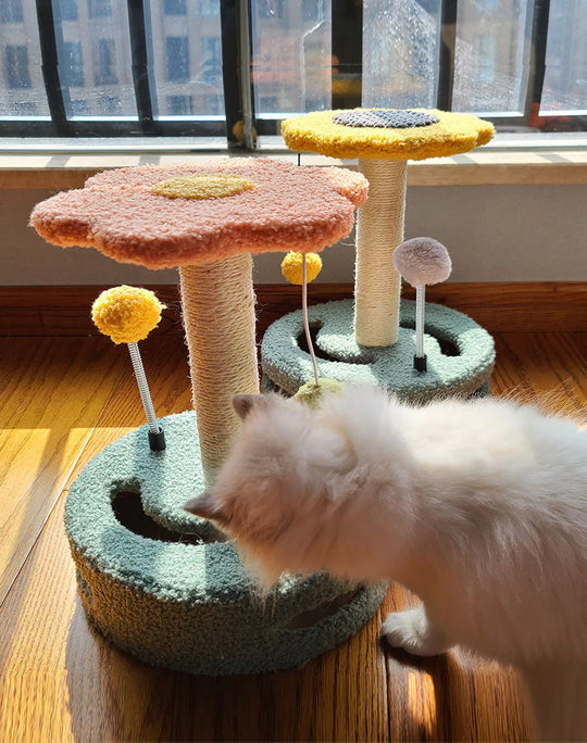 ClimbaCasa Katten Krabtoren