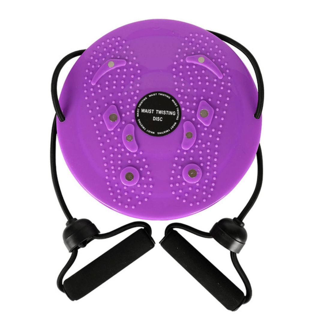 Rotating Waist Disc Balance Board