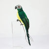 BirdieFigurine| Decoratieve Hangende Papegaaien Set