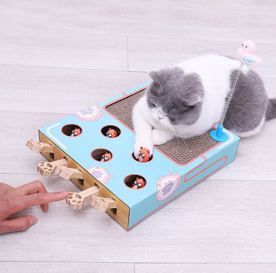WhiskerPop – Giocattolo a sorpresa con molle a molla per gatti