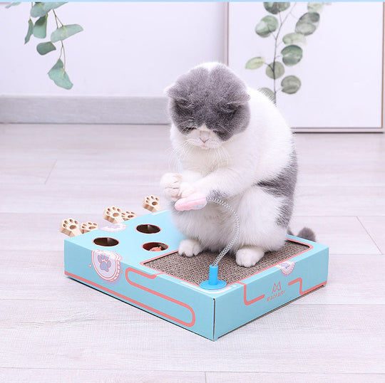 WhiskerPop – Giocattolo a sorpresa con molle a molla per gatti