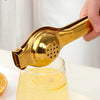 Stainless Steel Manual Citrus Juicer