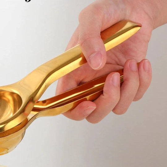 Spremiagrumi Manuale in Acciaio Inossidabile
