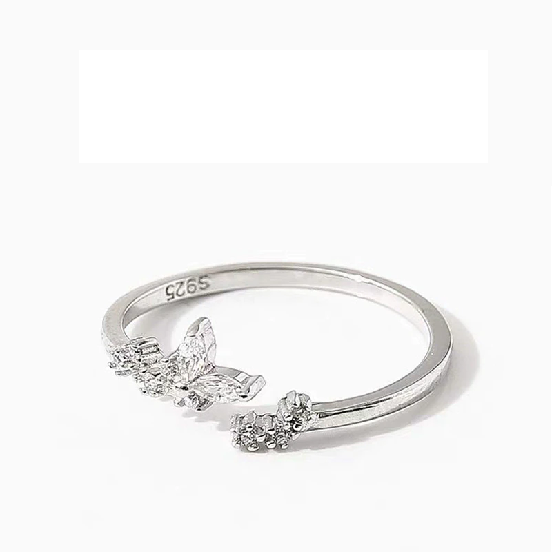 Piccolo anello d'argento con zirconi