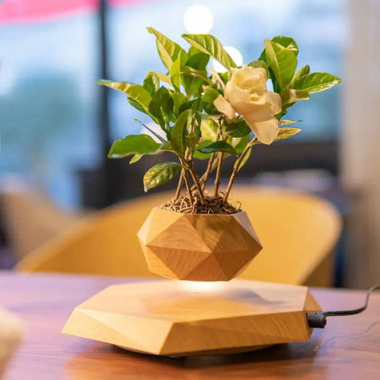 Floating Magnetic Plant Pot