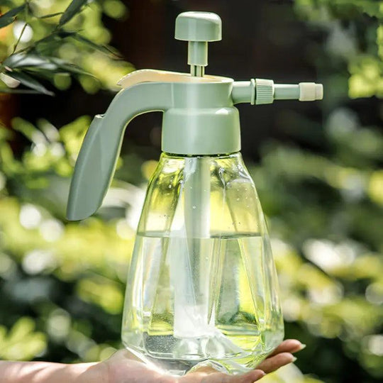 Grande Anna da Giardino Sottoposta a Pressione