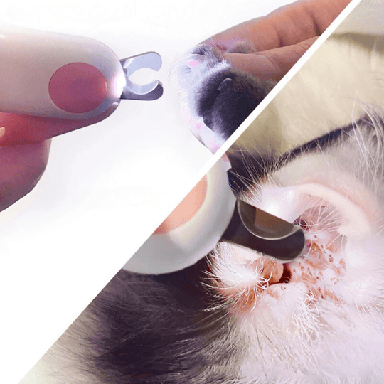 Coupe-ongles professionnel pour animaux de compagnie avec lumière LED – Idéal pour chats et petits chiens