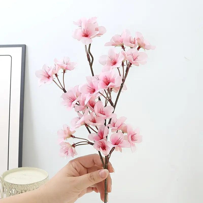 Rami di fiori di ciliegio
