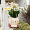Hangende Succulenten Pot
