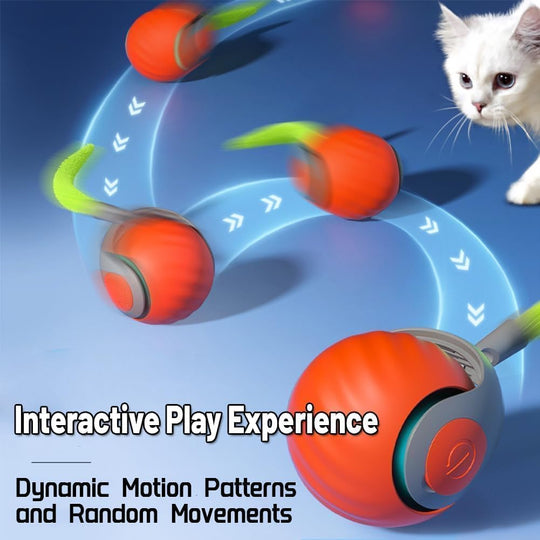 Pallina da gioco interattiva per gatti