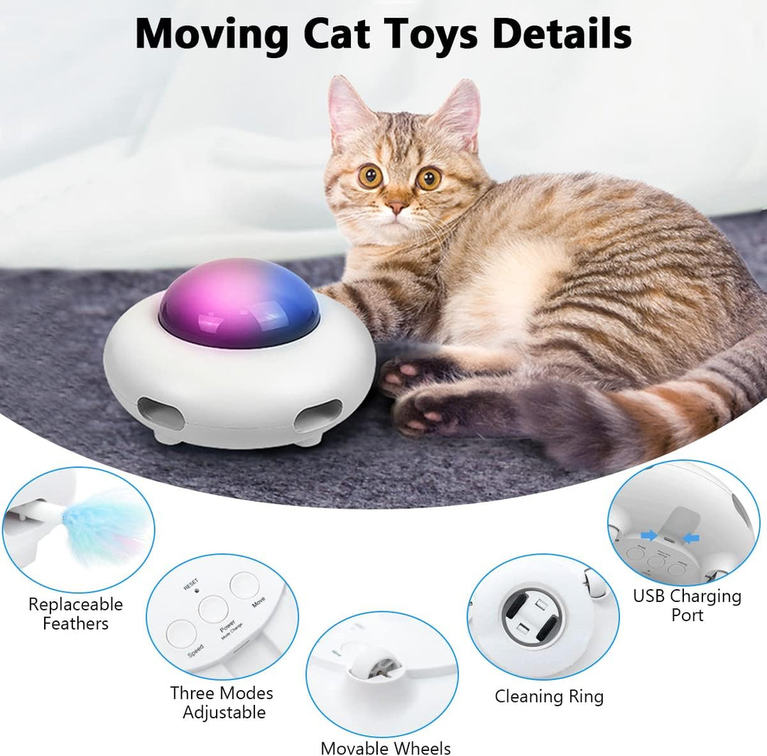 Jouet automatique pour chat avec plumes et collecteur de poils