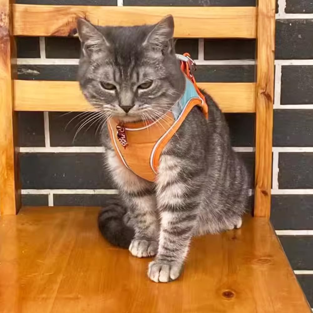 PawTrek – Comfortable Cat Harness with Leash for Outdoor Adventures