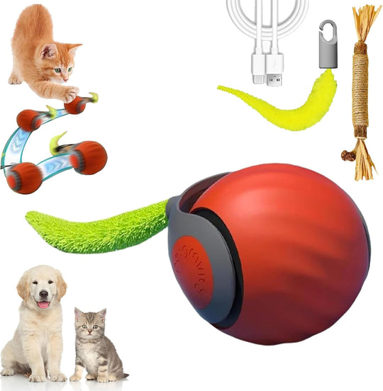 Pallina da gioco interattiva per gatti