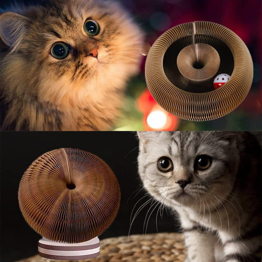 Magical Organ Toy Scratching Board for Cats
