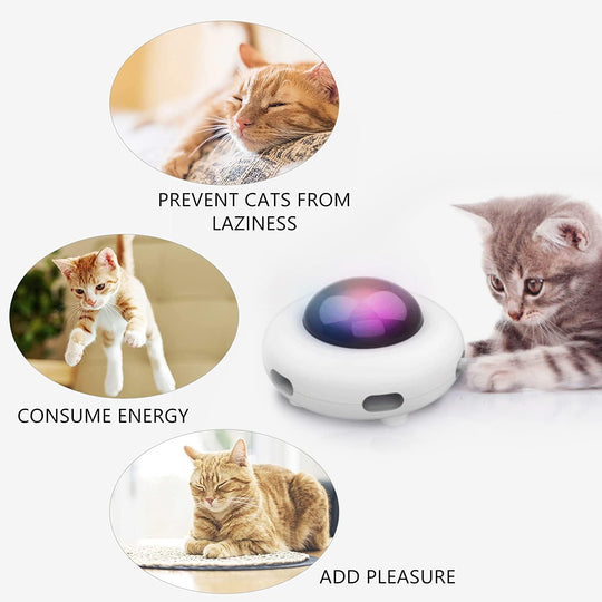 Jouet automatique pour chat avec plumes et collecteur de poils