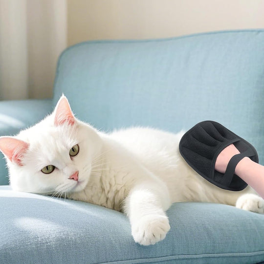 FurSwipe Glove