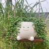 Hangende Succulenten Pot