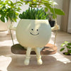 Hangende Succulenten Pot