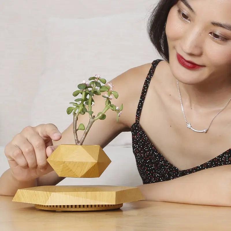 Floating Magnetic Plant Pot
