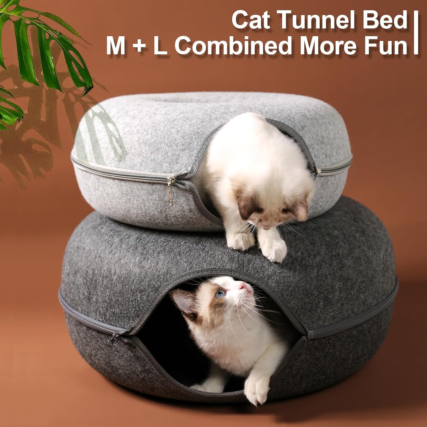 Bininl Katten Tunnel
