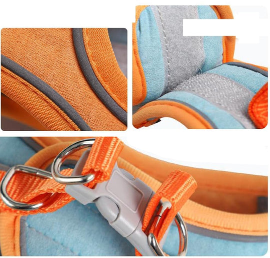 PawTrek – Harnais confortable pour chat avec laisse pour aventures en plein air