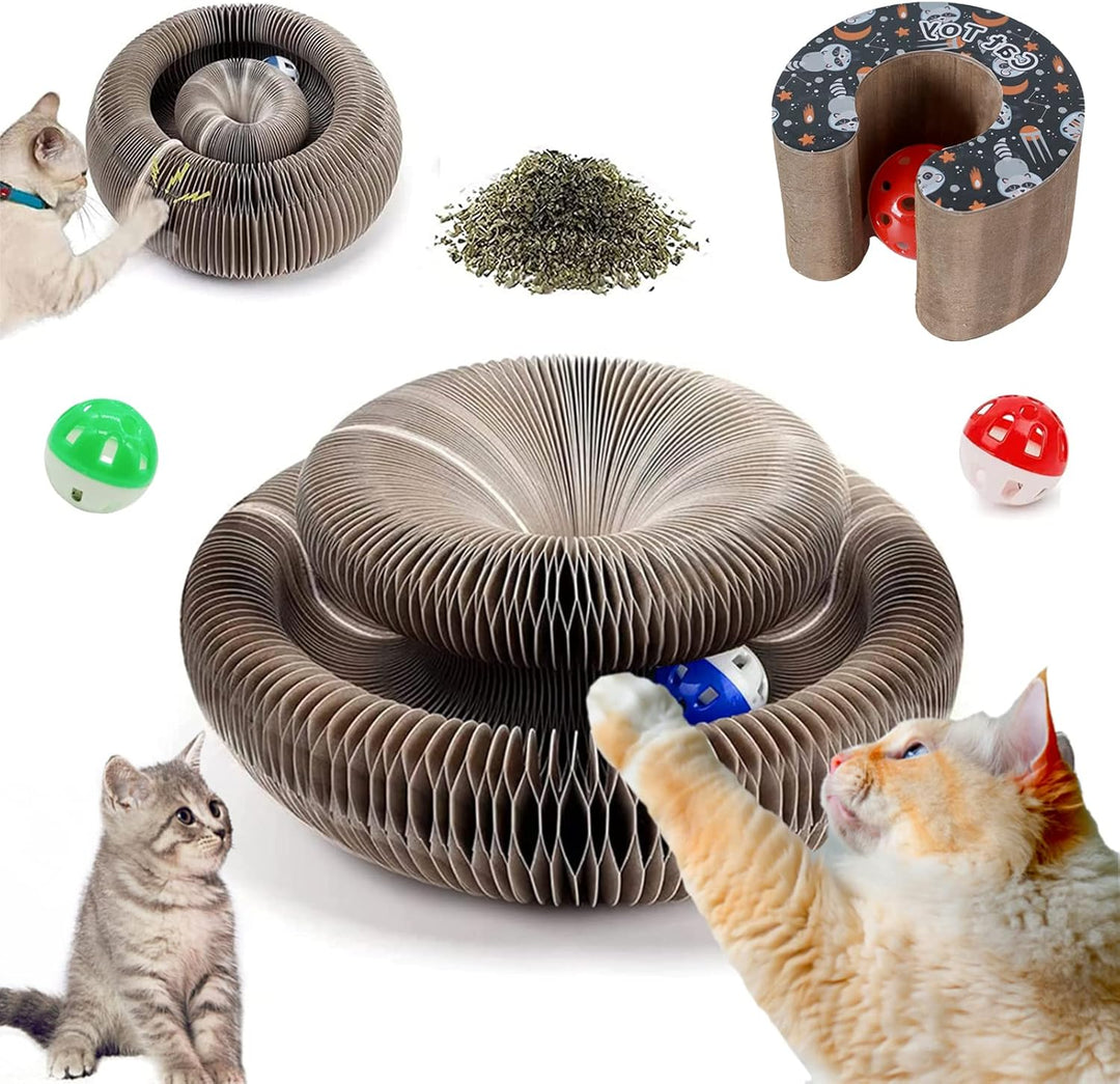 Magical Organ Toy Scratching Board for Cats