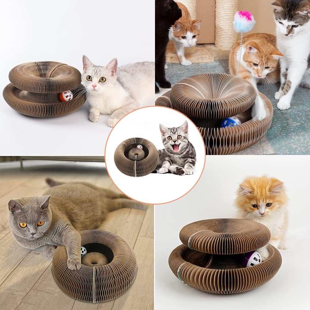 Magical Organ Toy Scratching Board for Cats