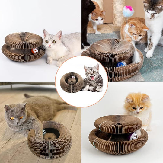 Magical Organ Toy Scratching Board for Cats