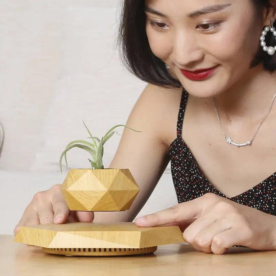 Floating Magnetic Plant Pot
