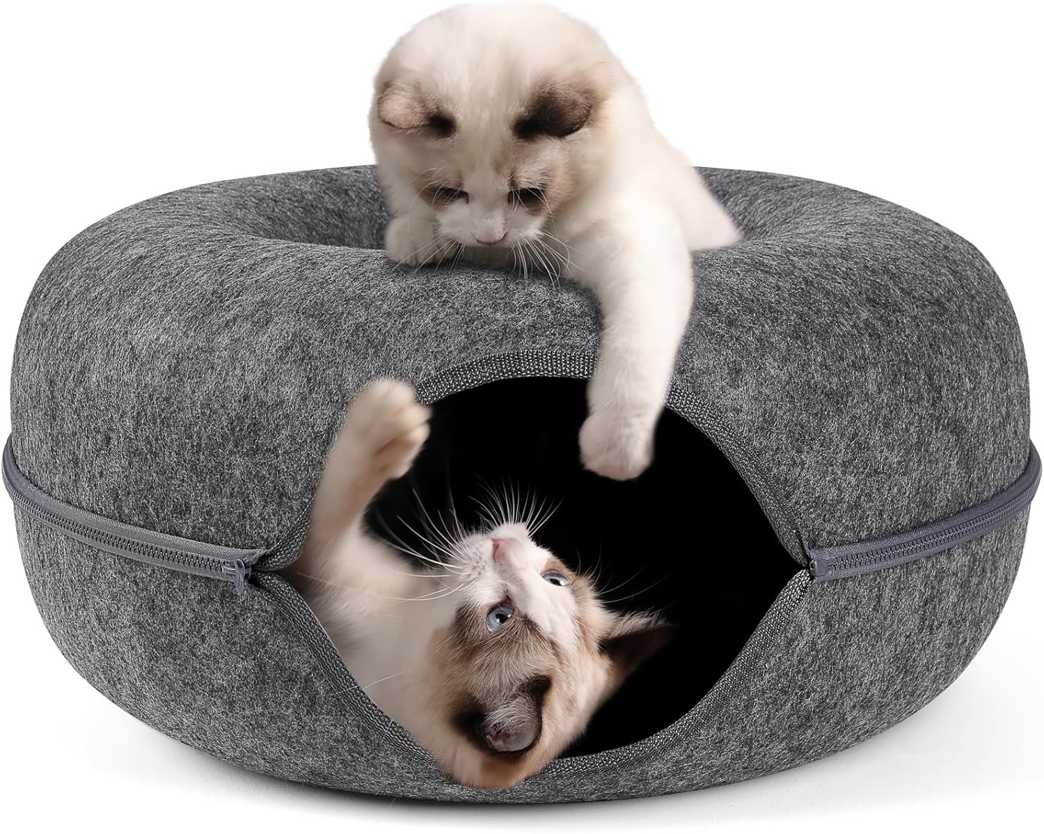 Bininl Katten Tunnel