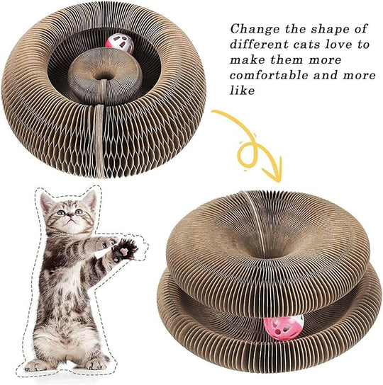 WhirlPaw Cat Nest