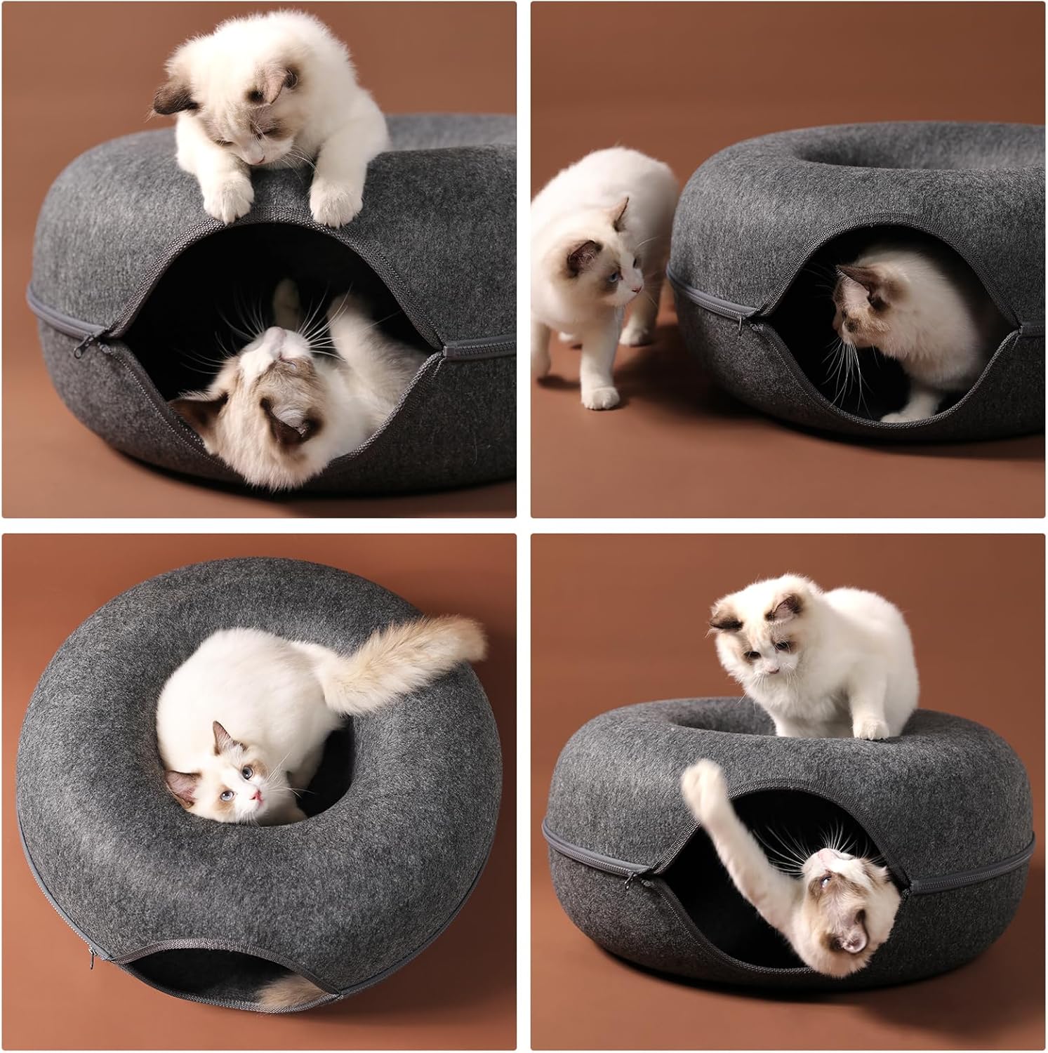 Bininl Katten Tunnel
